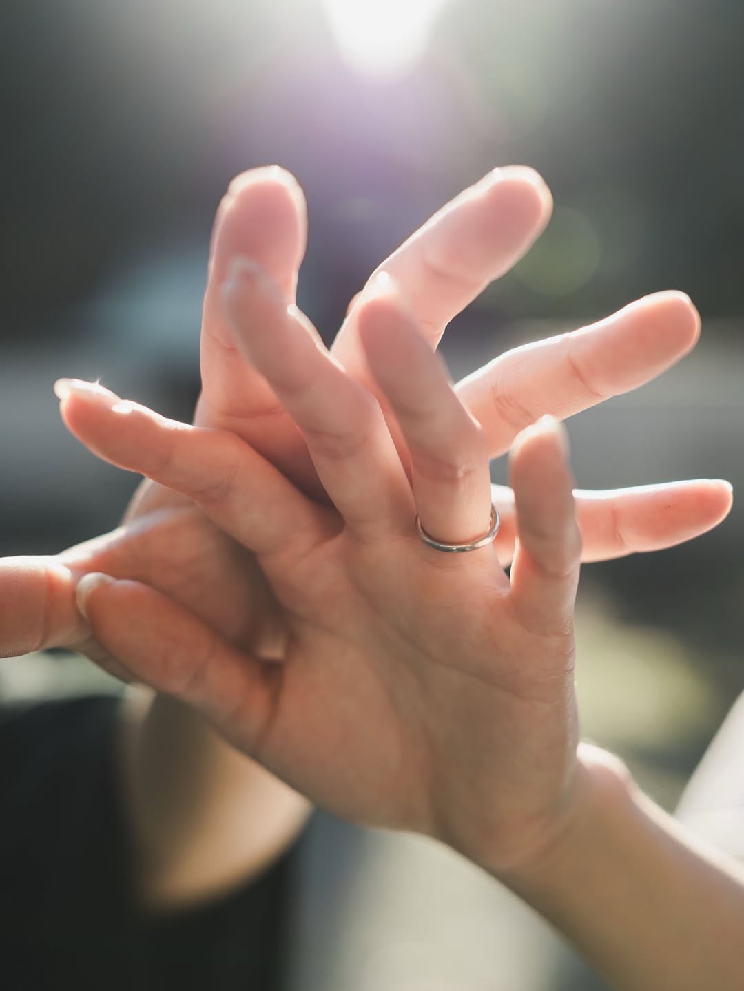 愛情的下一章，從京都開始：Fuji 求婚攝影