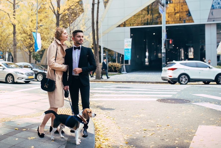 大手牽小爪：Olga 首爾情侶與毛孩寫真