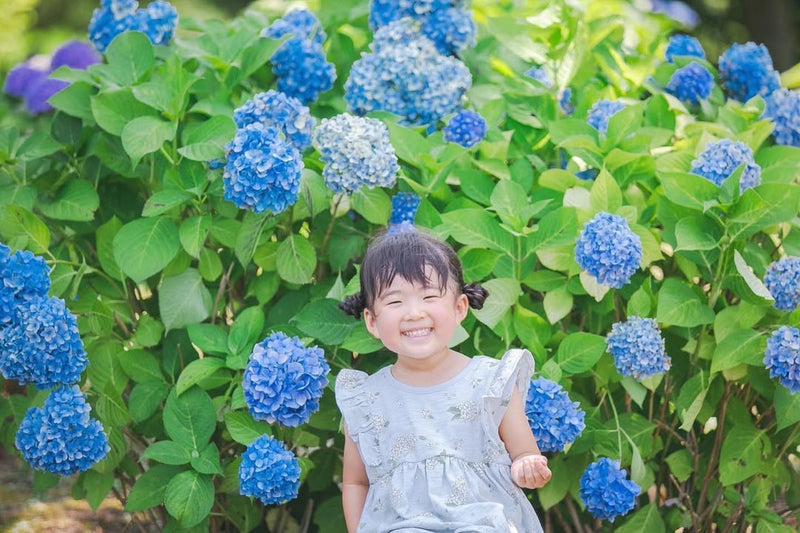 發現夏日橫濱：Yuki 家庭攝影