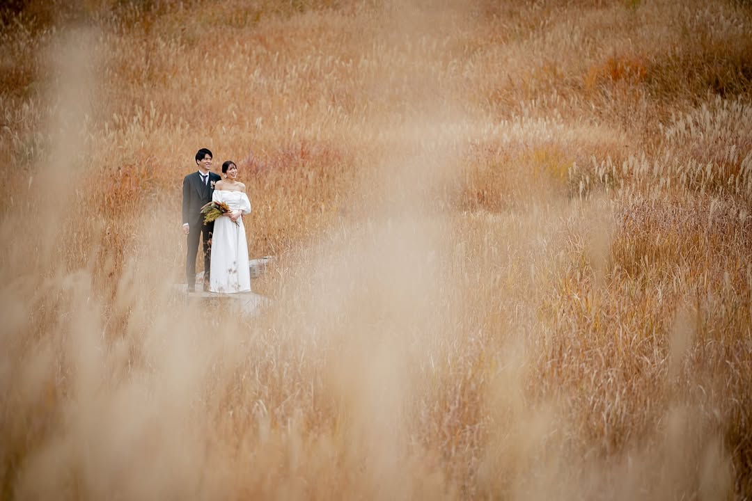 神戶的浪漫誓約，由Maruru 為你見證 - 求婚攝影體驗