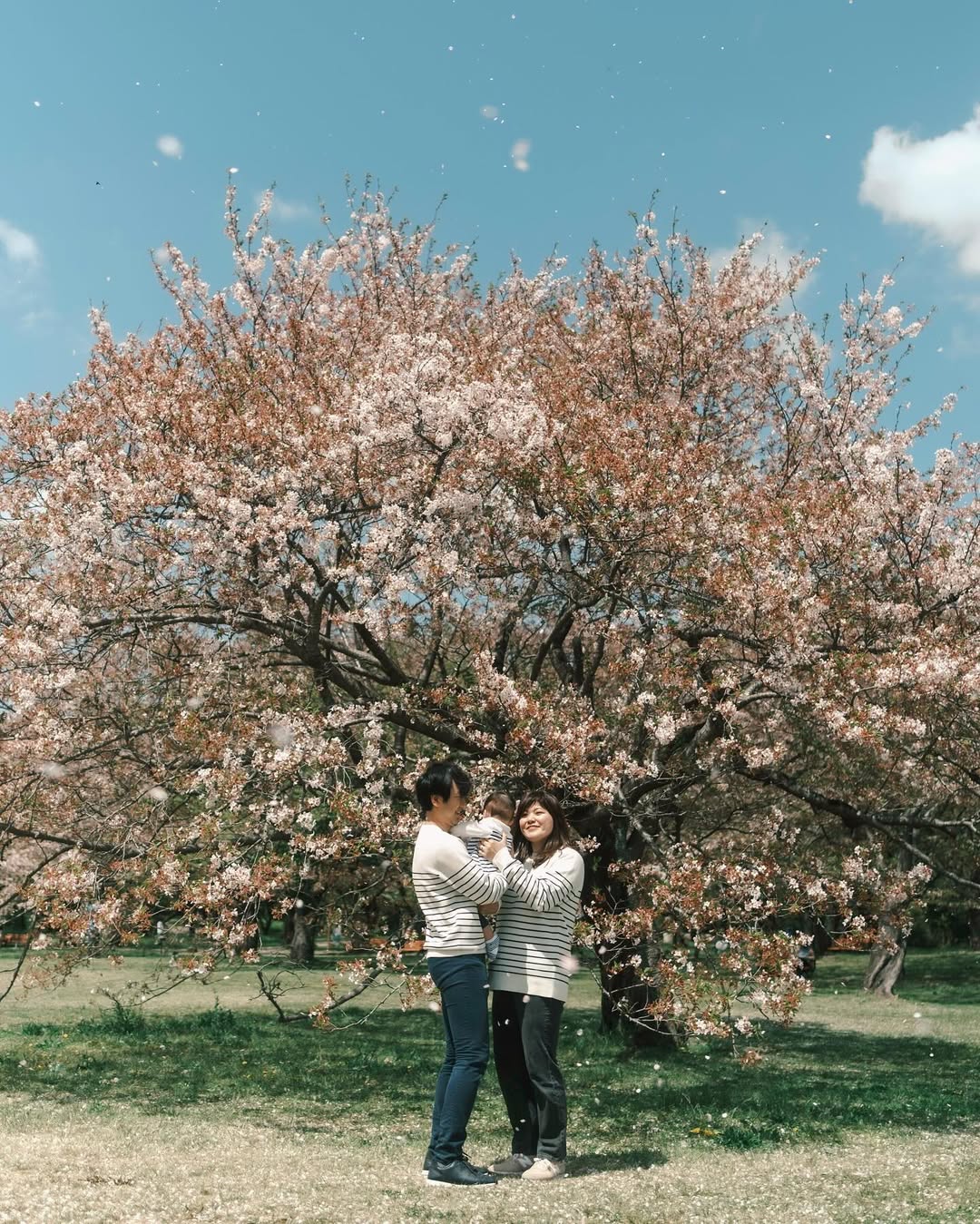 細微時刻，大大愛意：與Misawa一起記錄埼玉家庭故事