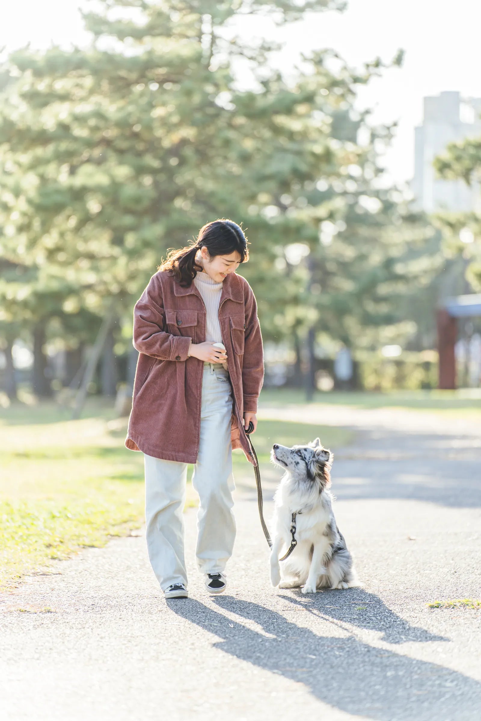 動物護理出身的Chika 在東京捕捉溫馨寵物時光