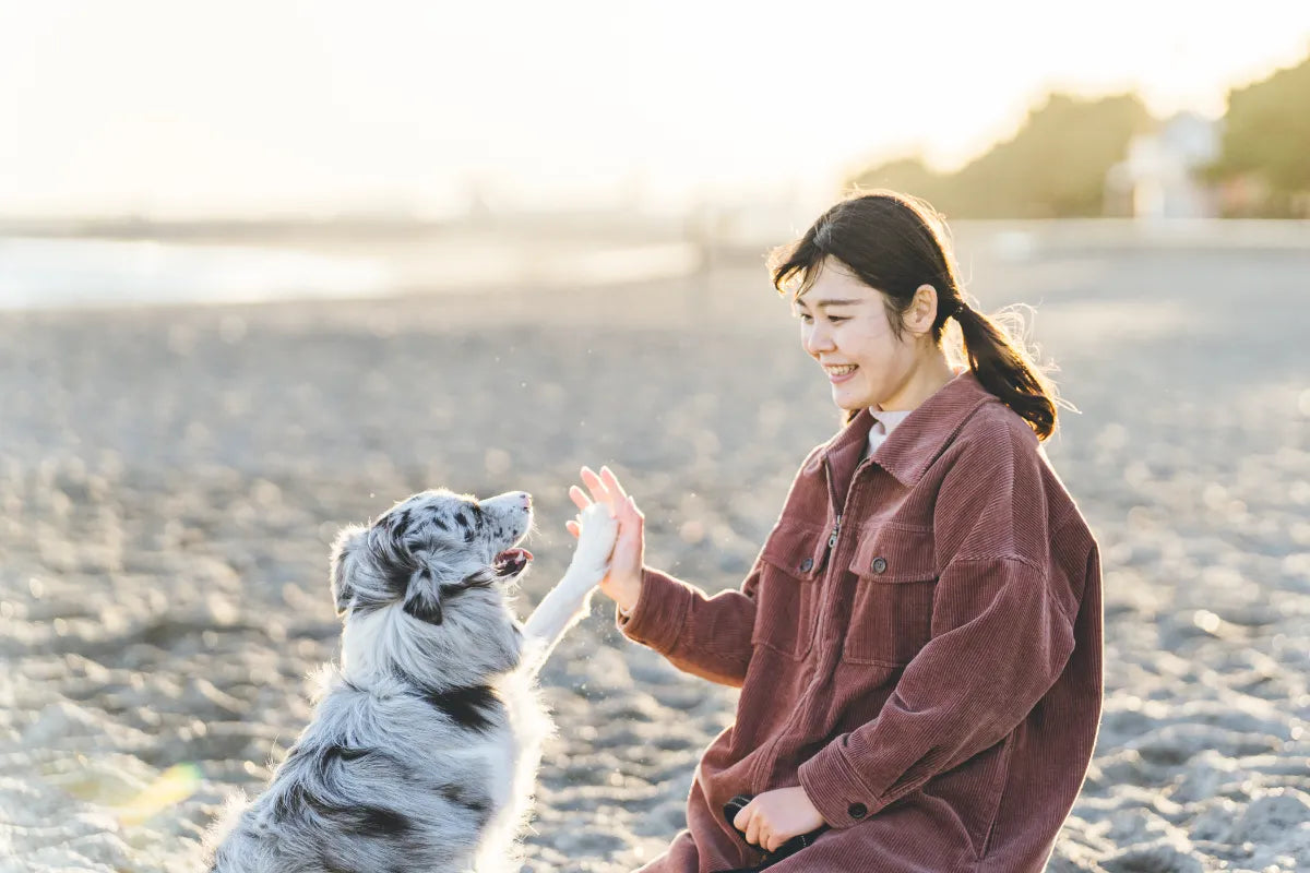 動物護理出身的Chika 在東京捕捉溫馨寵物時光
