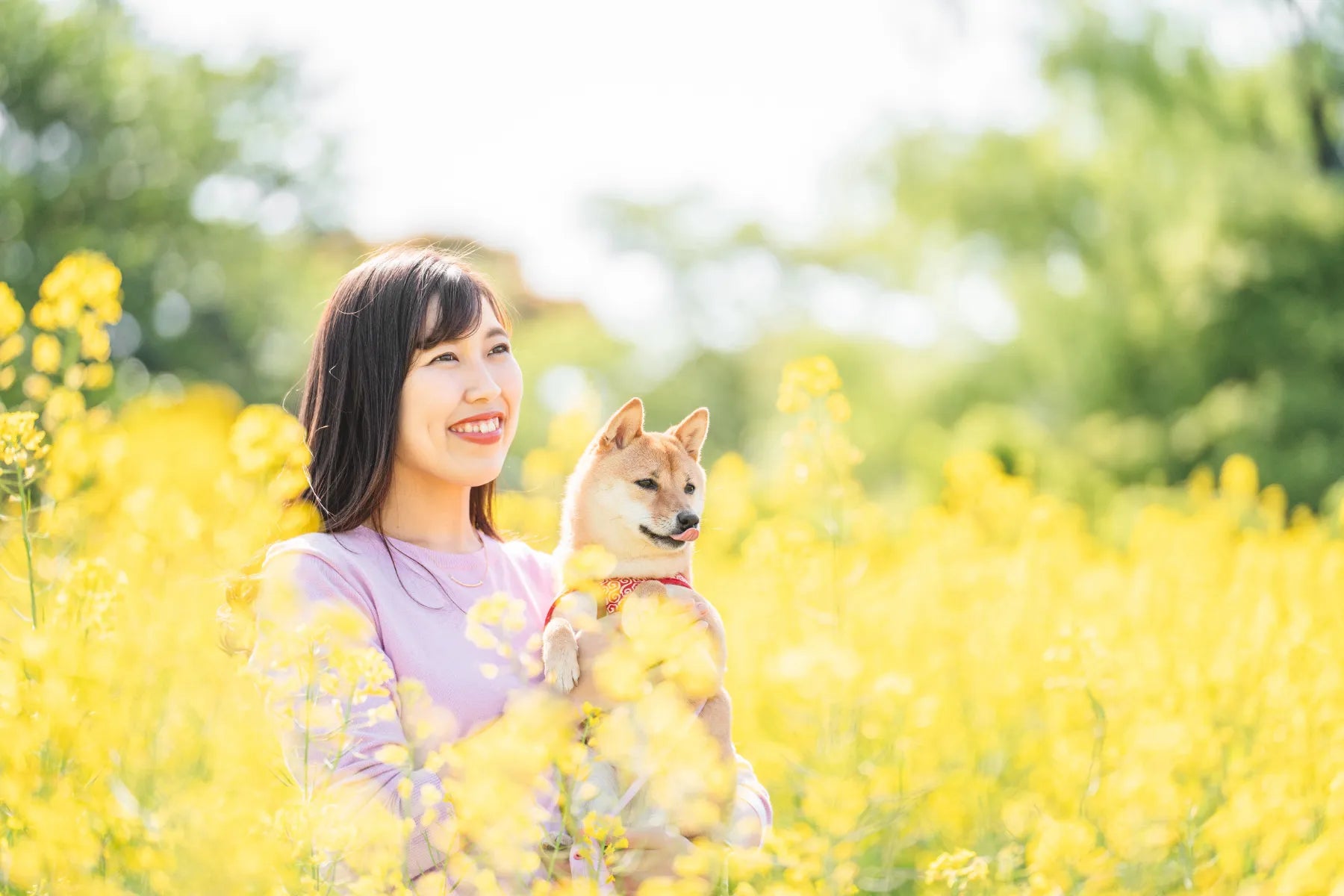動物護理出身的Chika 在東京捕捉溫馨寵物時光