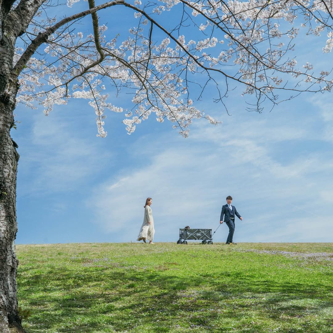 城市與海的邂逅 : Daisu 在四日市紀錄你的家庭溫柔時光