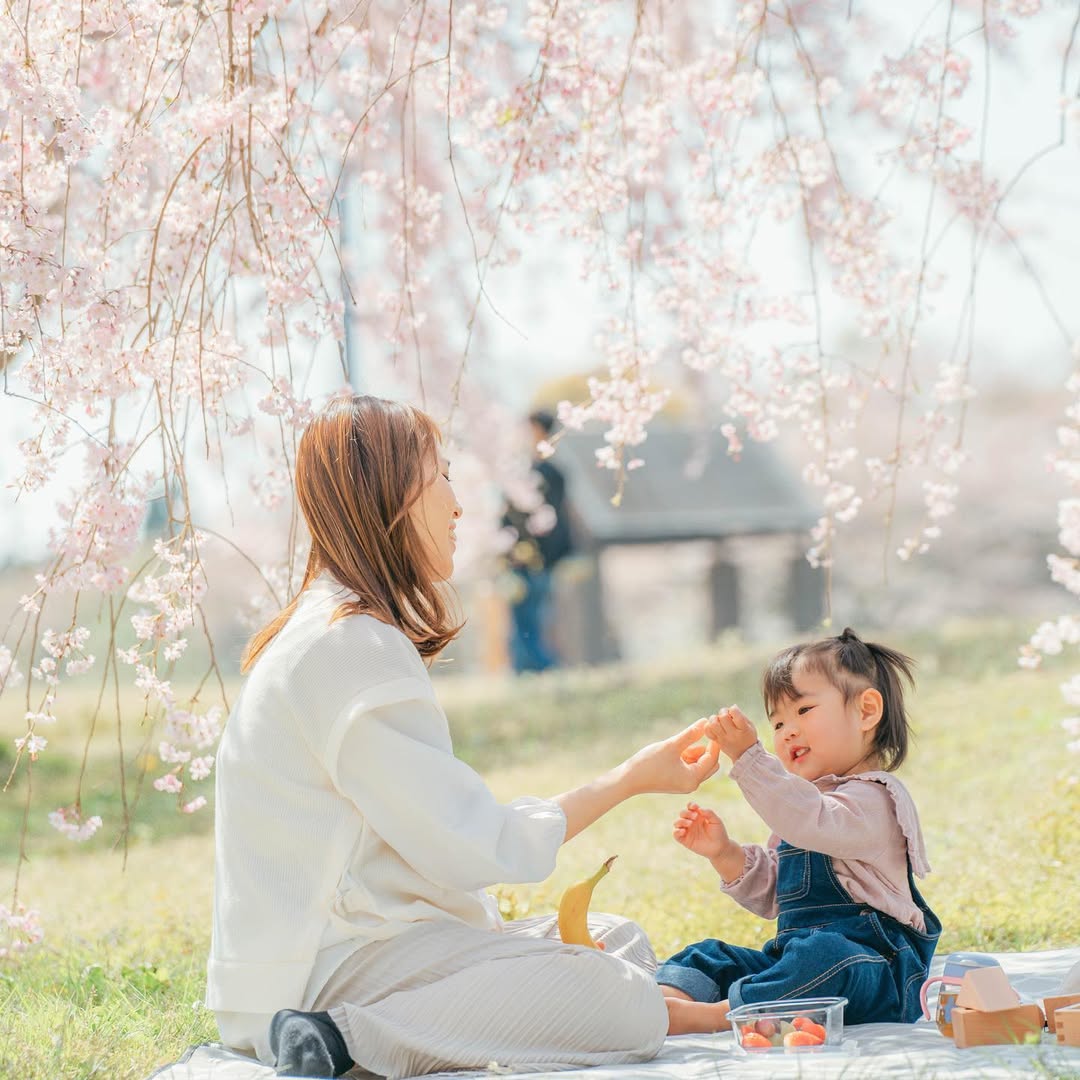 城市與海的邂逅 : Daisu 在四日市紀錄你的家庭溫柔時光