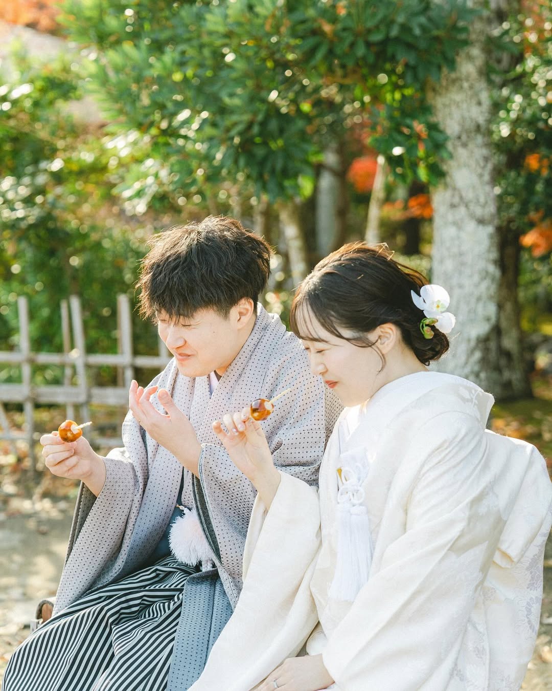 大阪戀愛故事 ：讓Arai書寫你們的愛情篇章