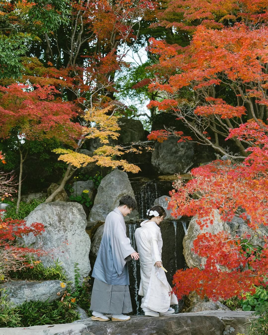 大阪戀愛故事 ：讓Arai書寫你們的愛情篇章